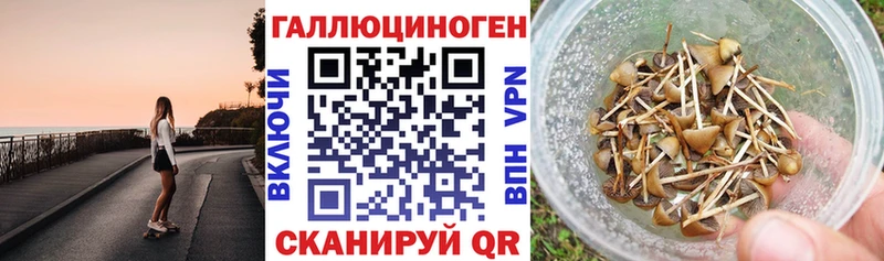купить  цена  Энем  Галлюциногенные грибы мицелий 